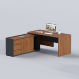 CEO/DIRECTOR TABLE H003