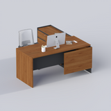 CEO/DIRECTOR TABLE H003