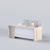 CEO/DIRECTOR TABLE H002