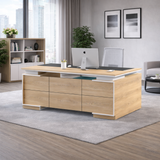 CEO/DIRECTOR TABLE H004