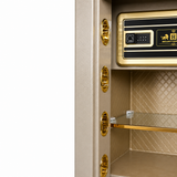 SAFETY LOCKER (FT-D53ZYB) Fingerprint