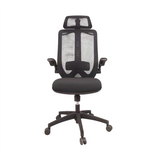 ILLUSTRIOUS - DCMFPR71