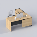 CEO/DIRECTOR TABLE H003