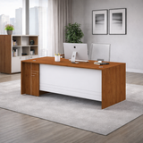 CEO/DIRECTOR TABLE H002