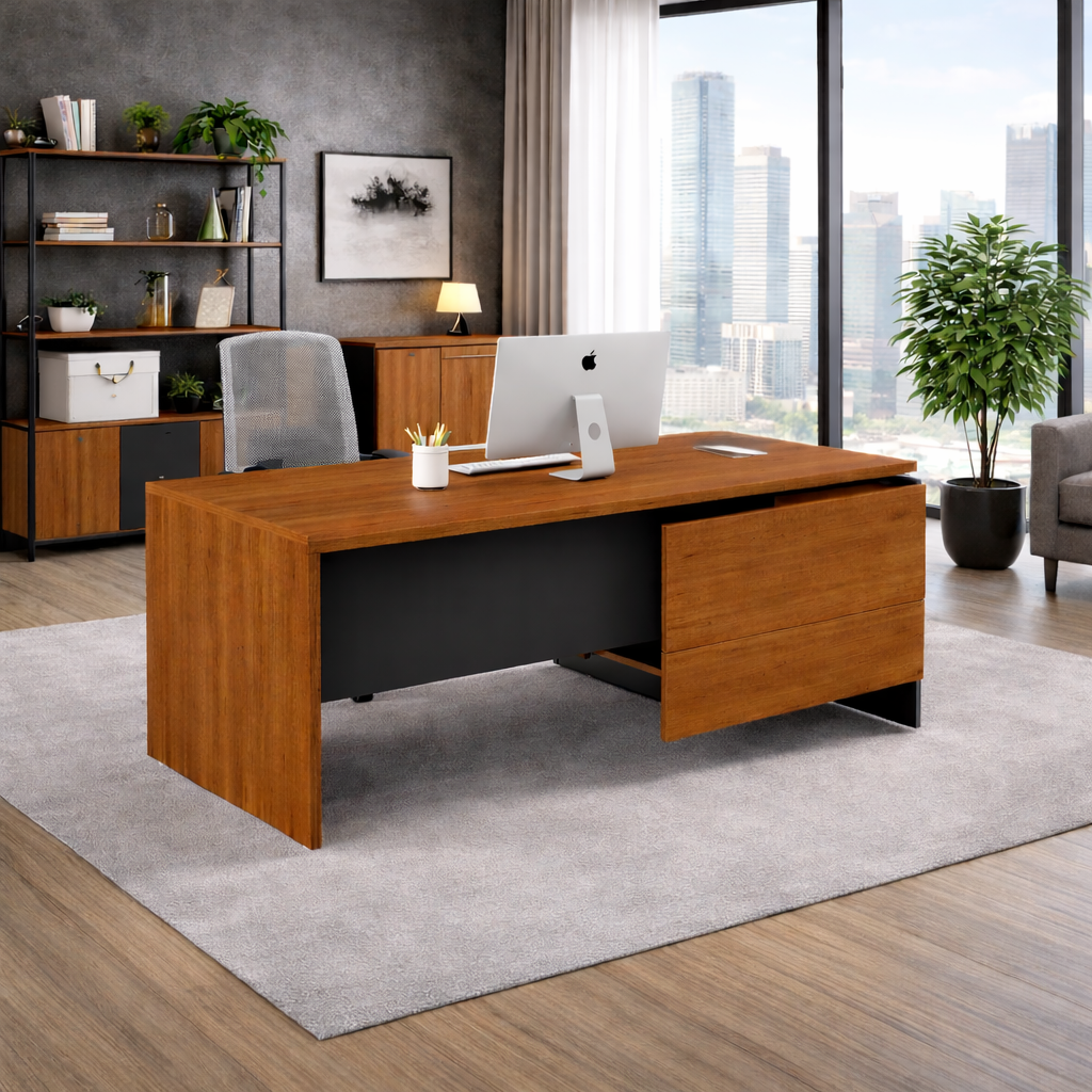 CEO/DIRECTOR TABLE H003